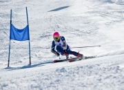 九游APP-2026世界杯D组生死战，波兰铁血防线压制智利，登贝莱一剑封喉演绎强硬对抗