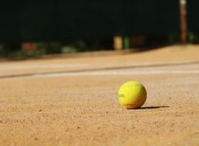 九游VIP-美国网球队鏖战英国网球队，瓦林卡打破历史纪录