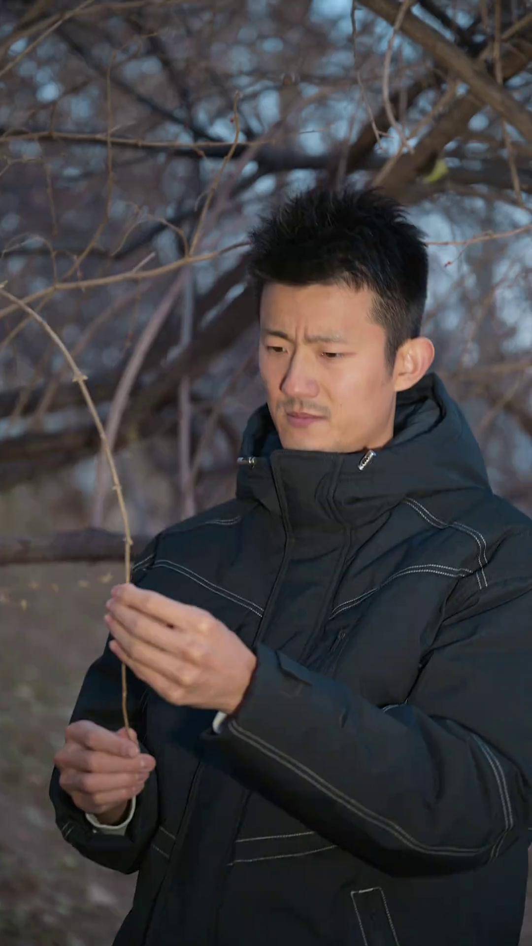 包含马来西亚羽毛球队轻取丹麦羽毛球队，谌龙送出助攻的词条