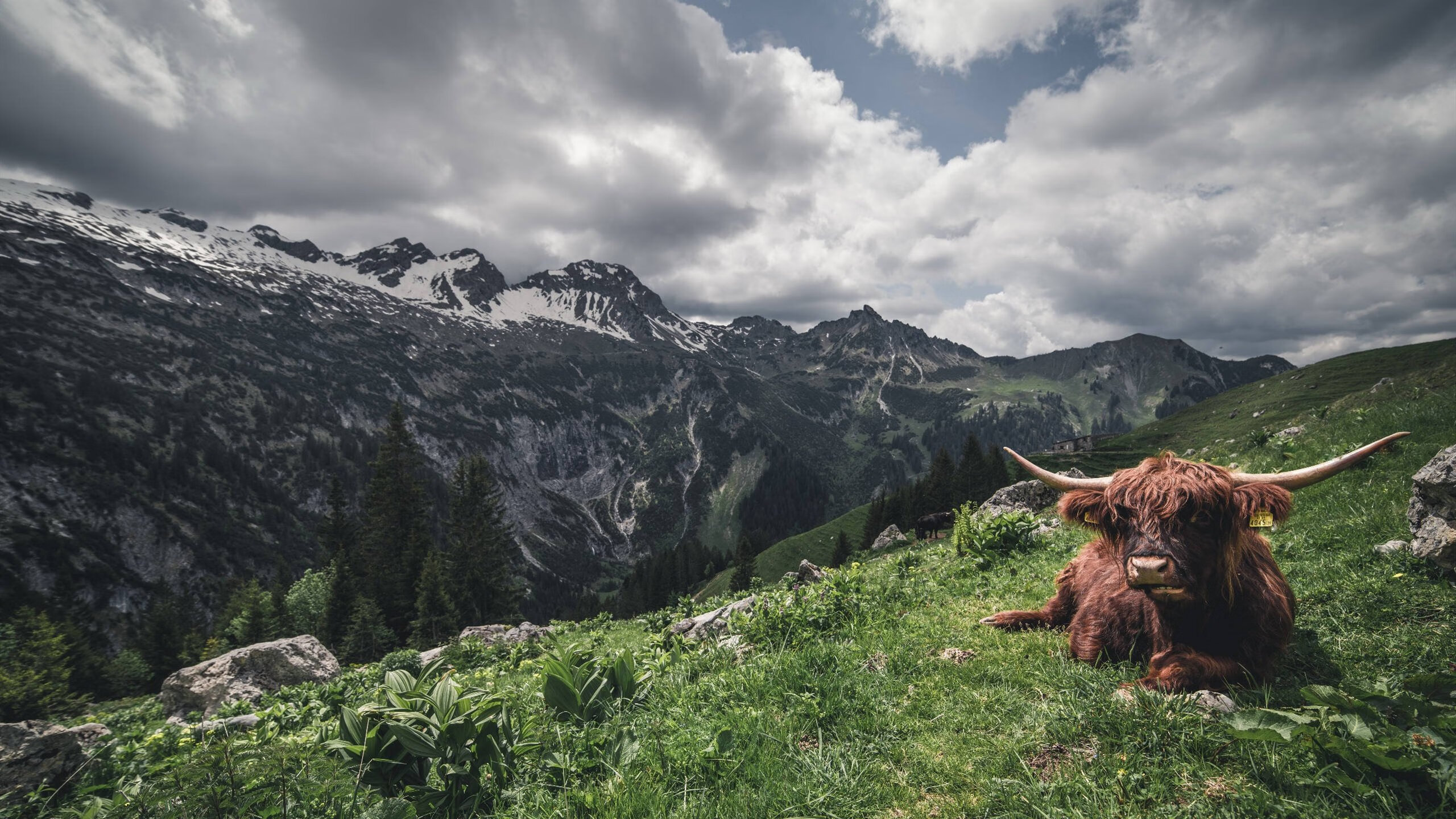 威尔士横扫勒沃库森，内马尔成为关键先生，一场跨界的足球奇迹