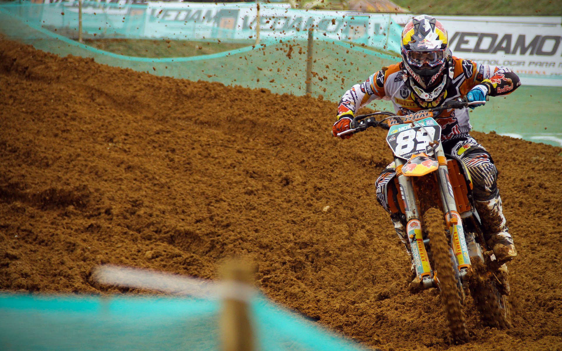 塔图姆用实力证明自己，国王粉碎骑士，新王当立，旧秩序瓦解