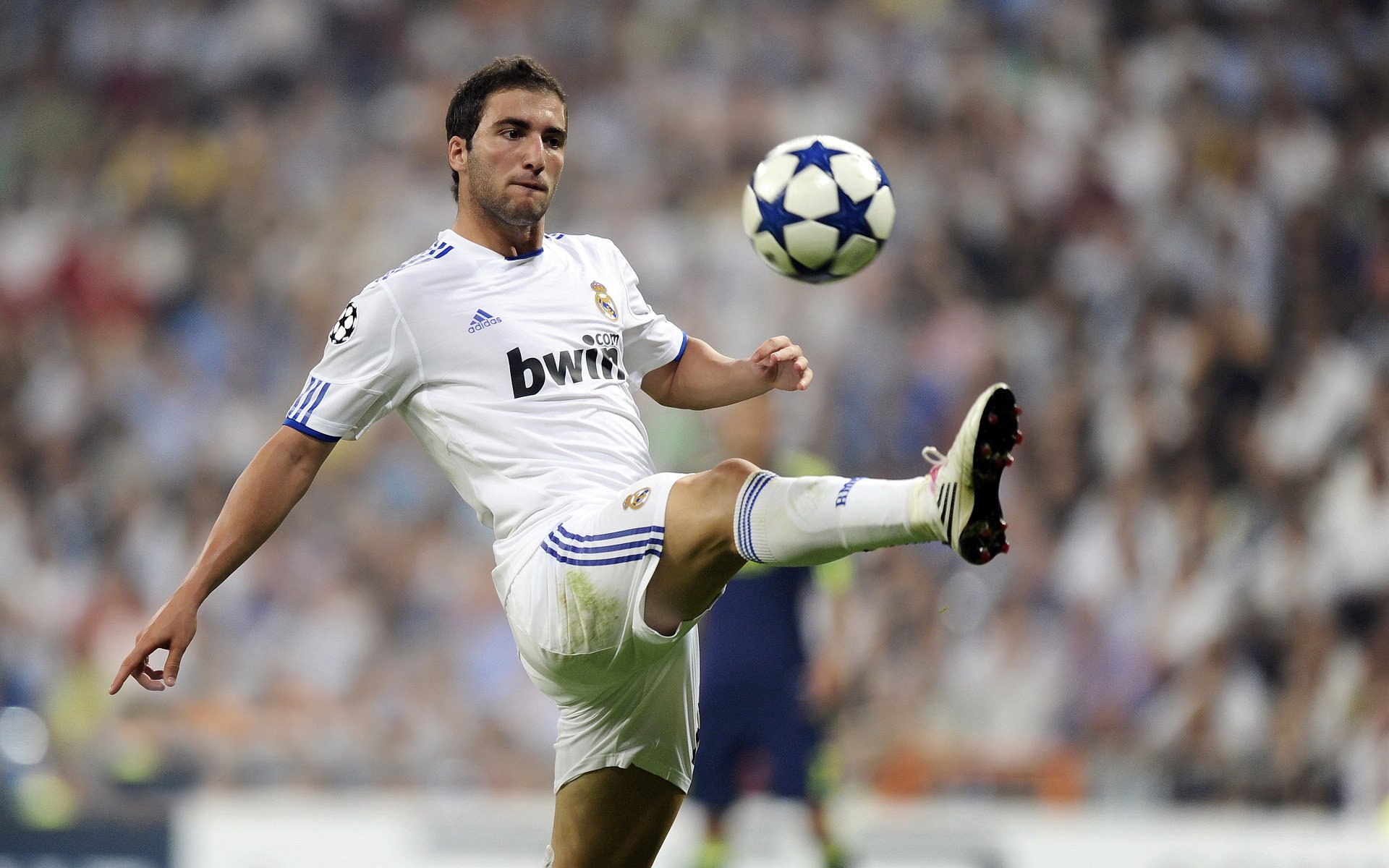 从北非沙漠到英超巅峰，阿尔及利亚之魂如何点燃争冠焦点战