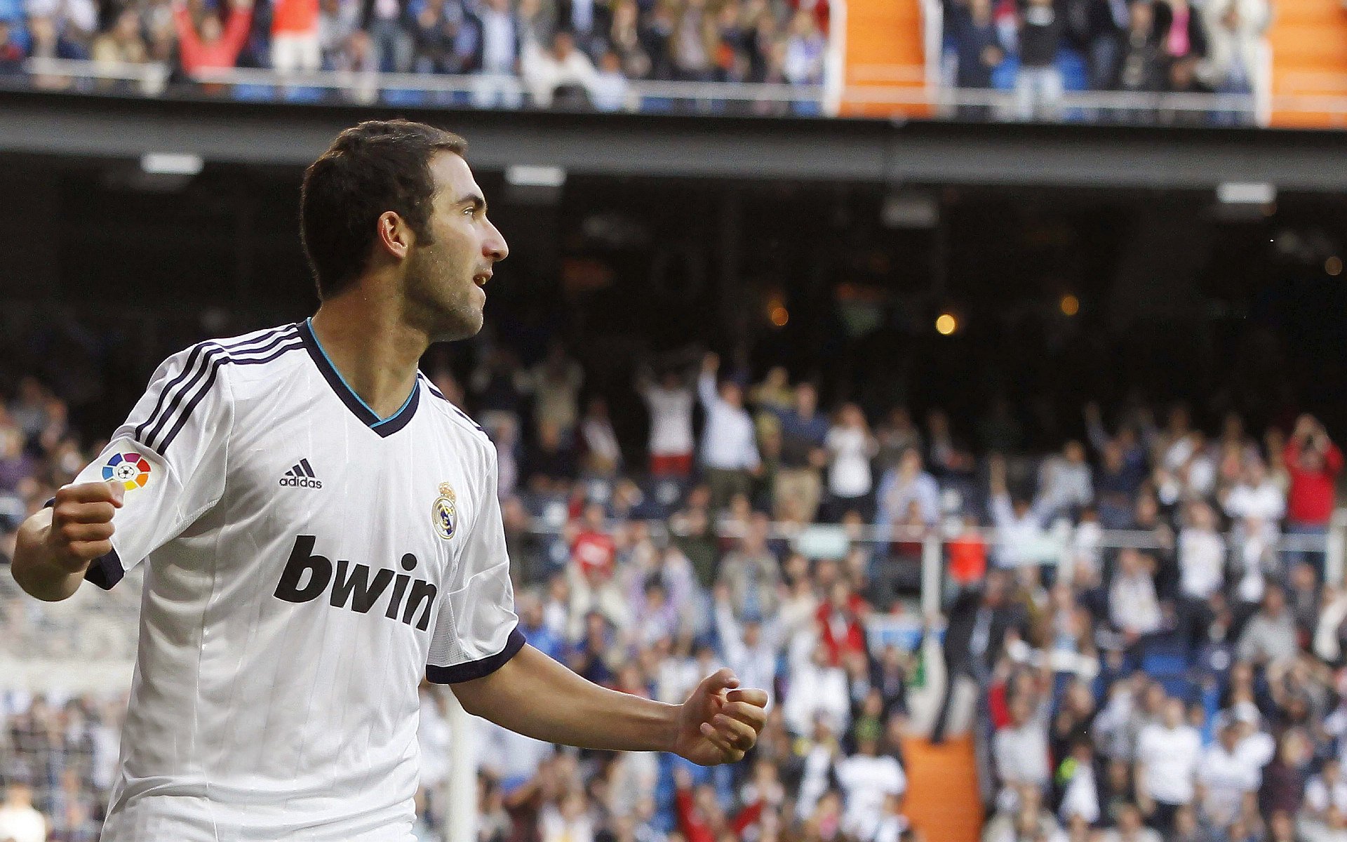 法网遗珠，澳网新王，鲁德在红土与硬地间的唯一征途